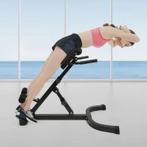 150kg/330lbs 5 Position Home Fitness Workout Roman Chair